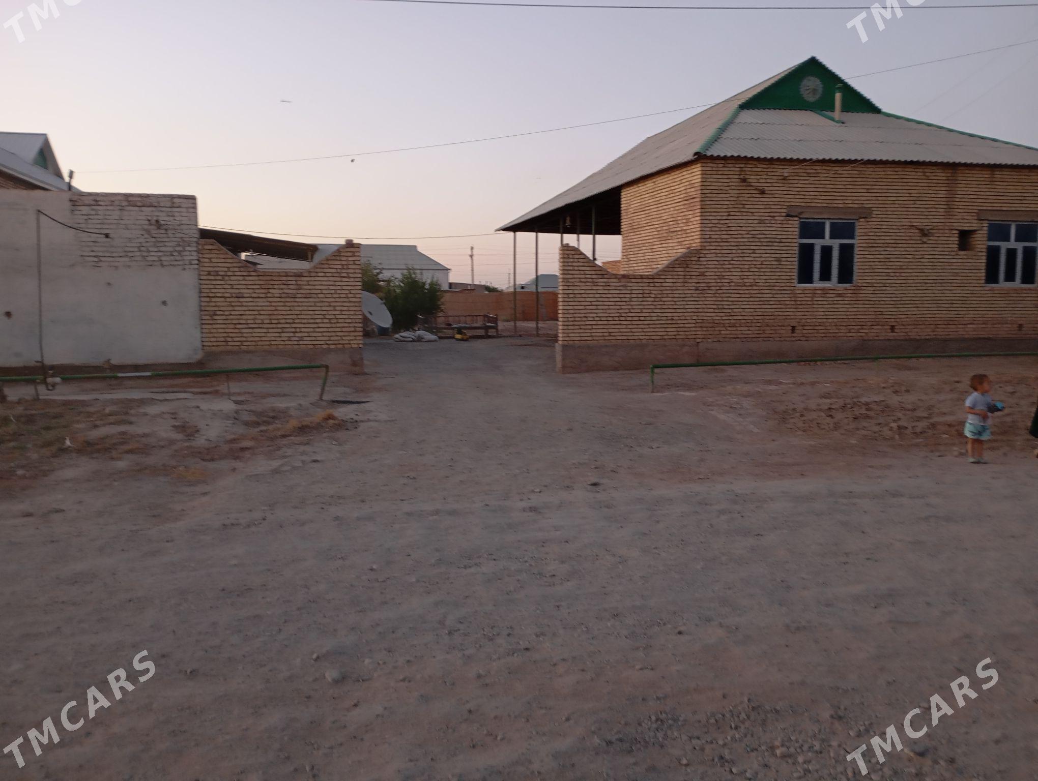 satlyk jay - Tejen - img 1