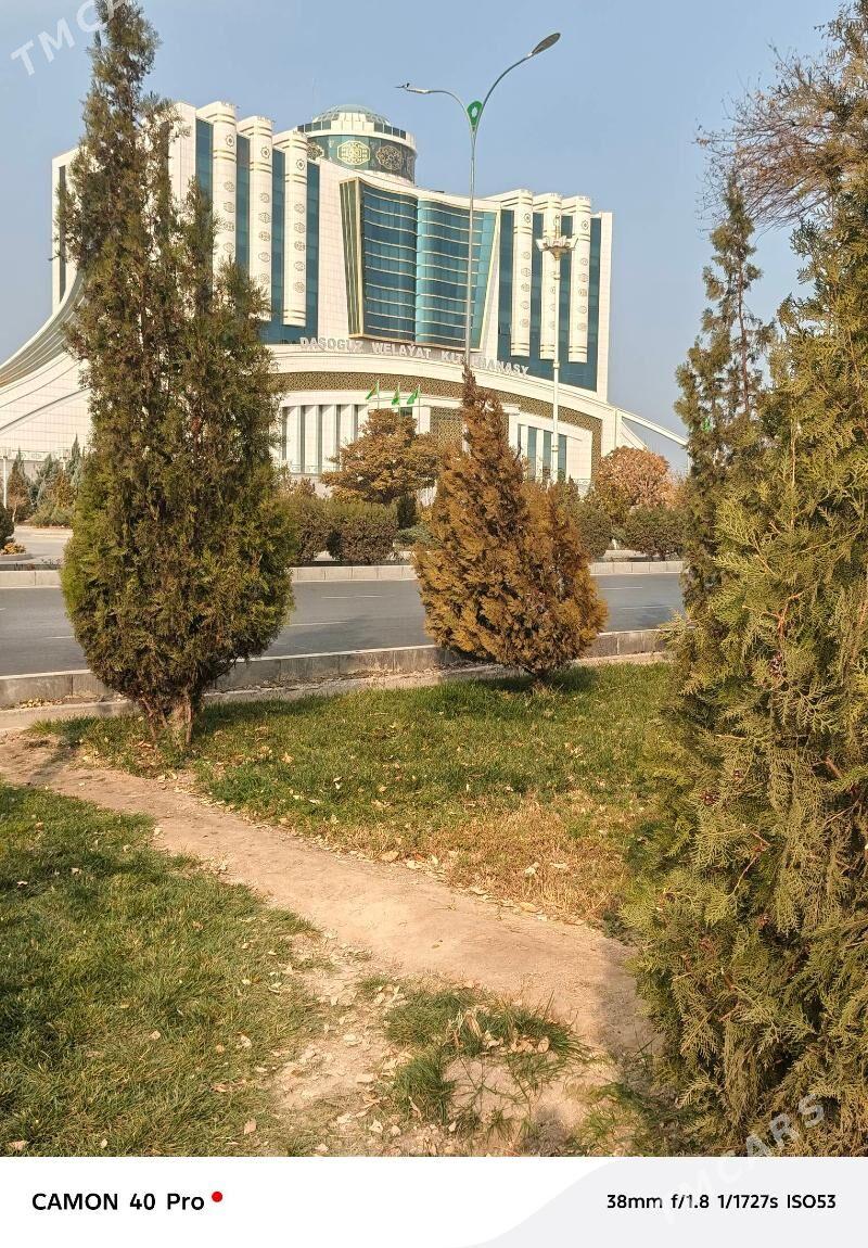 жай сатылар - Daşoguz - img 7