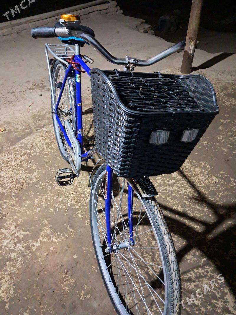 Aist - Kerki - img 3