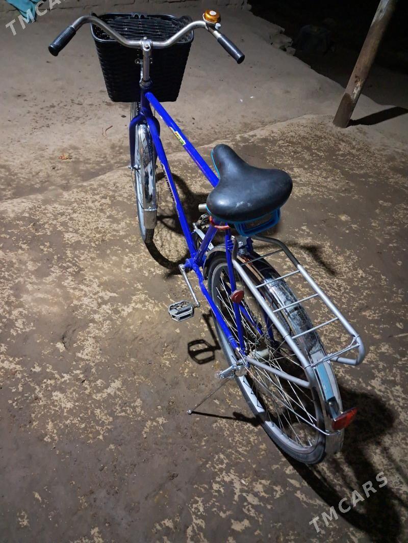 Aist - Kerki - img 2