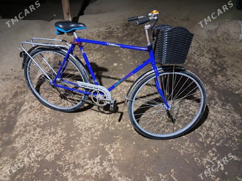 Aist - Kerki - img 4