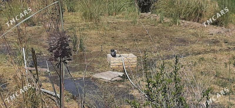 SATLYK JAY - Kerki - img 3