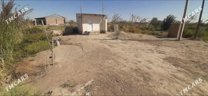 SATLYK JAY - Kerki - img 5