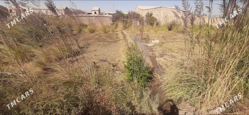 SATLYK JAY - Kerki - img 2