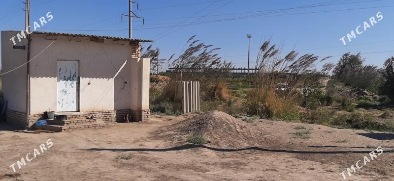 SATLYK JAY - Kerki - img 4