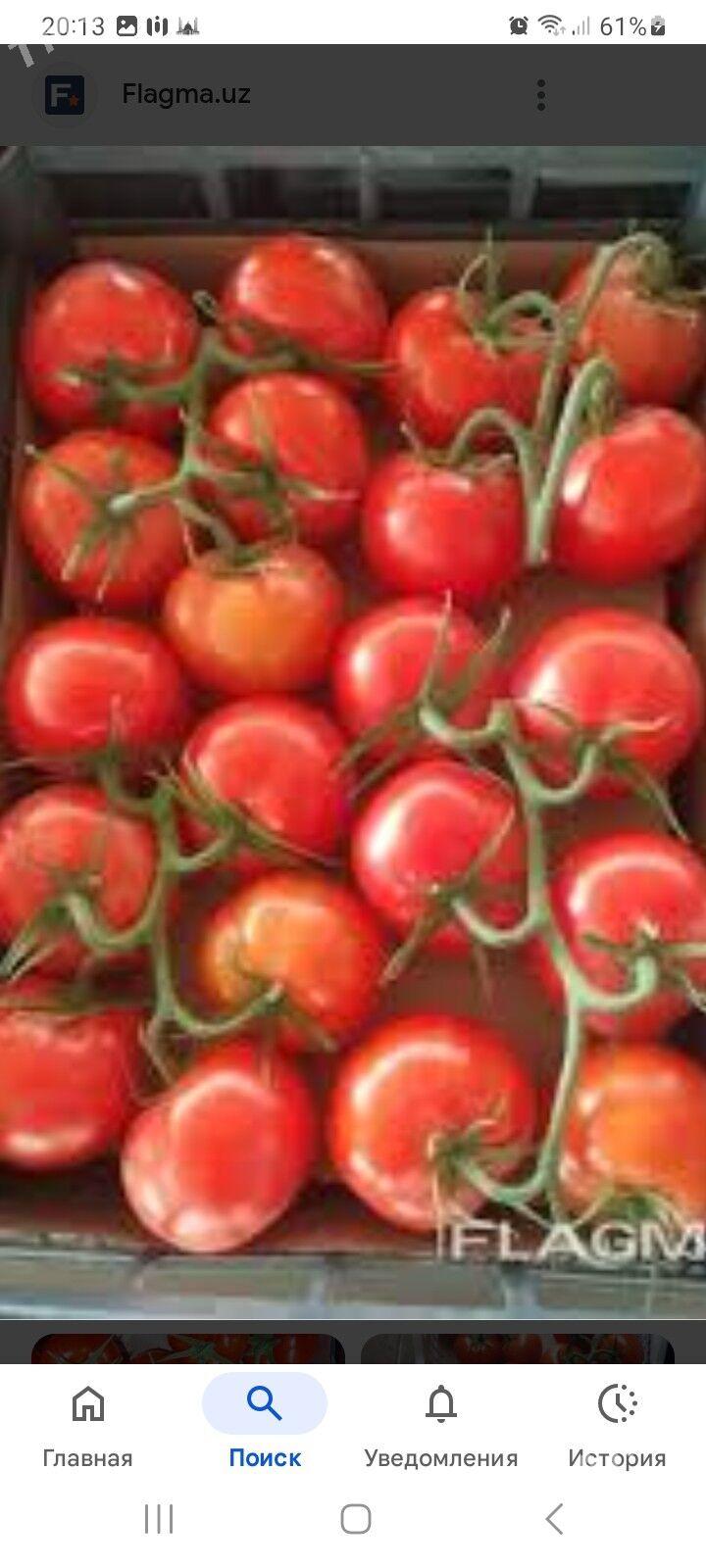 işgär gerek - Ашхабад - img 1