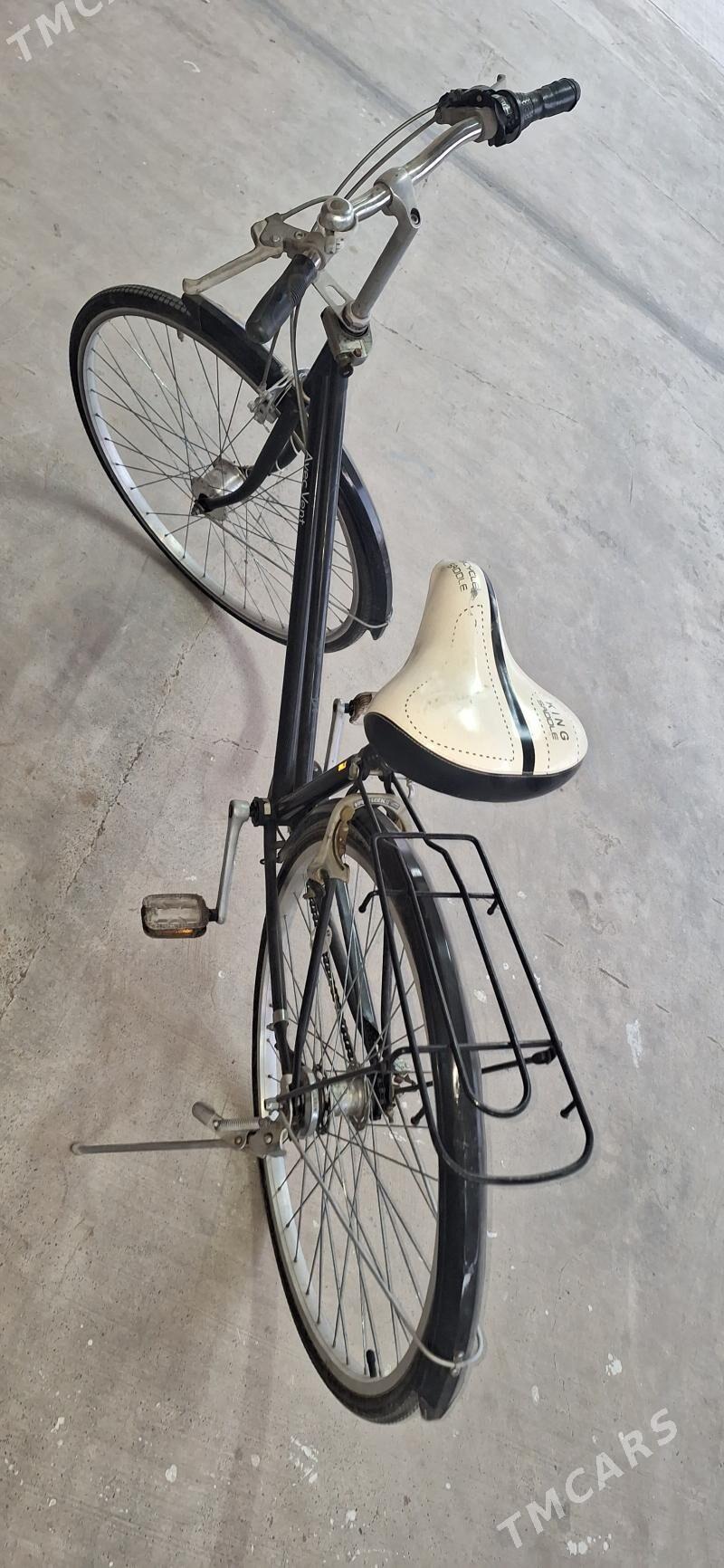 Tigr - Гёкдепе - img 2