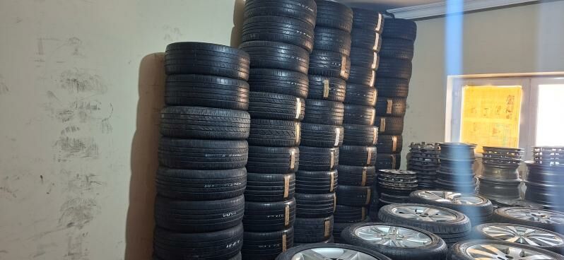 pokryska 1 234 TMT - Bedew - img 3