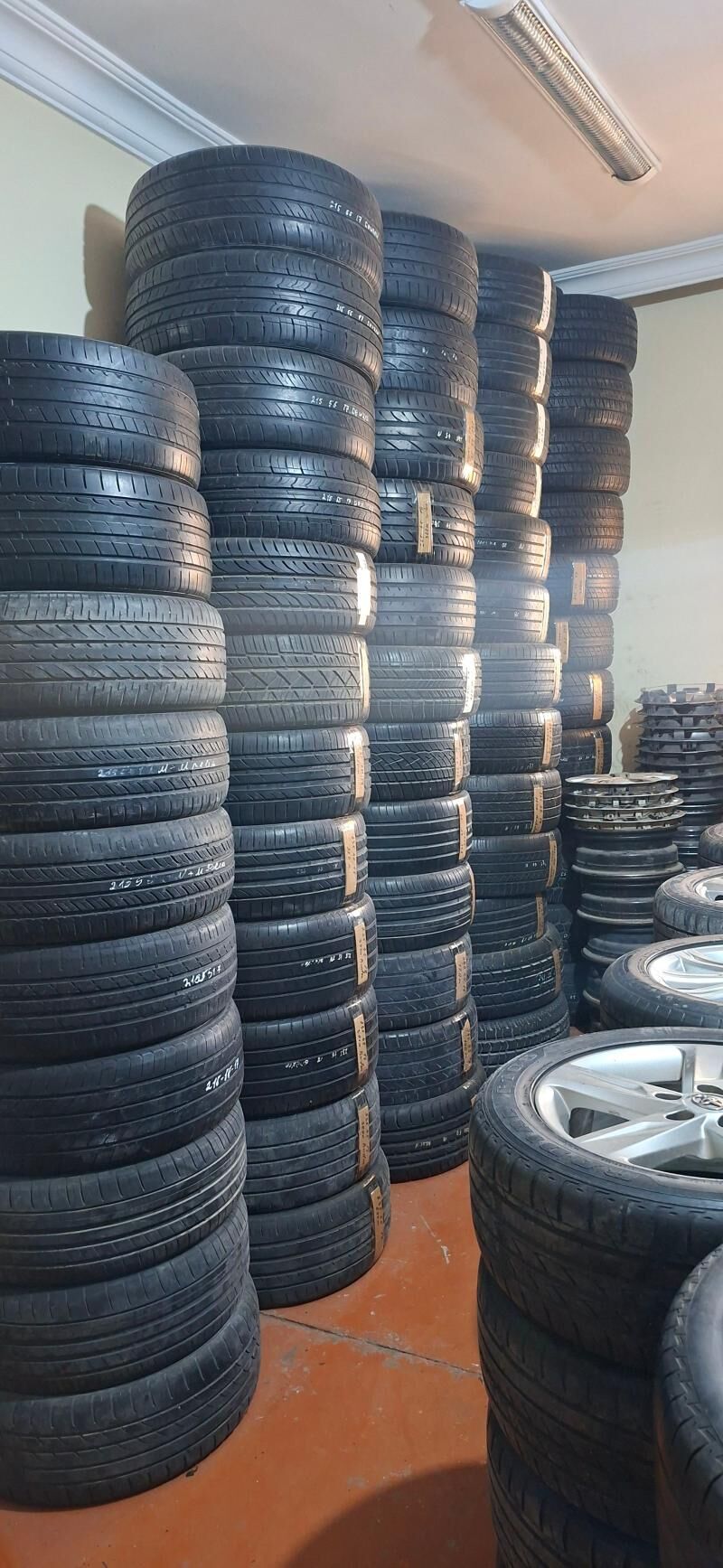 pokryska 1 234 TMT - Bedew - img 2