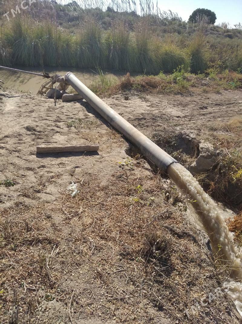 MTZ T-28 1993 - 23 000 TMT - Гороглы (Тагта) - img 5