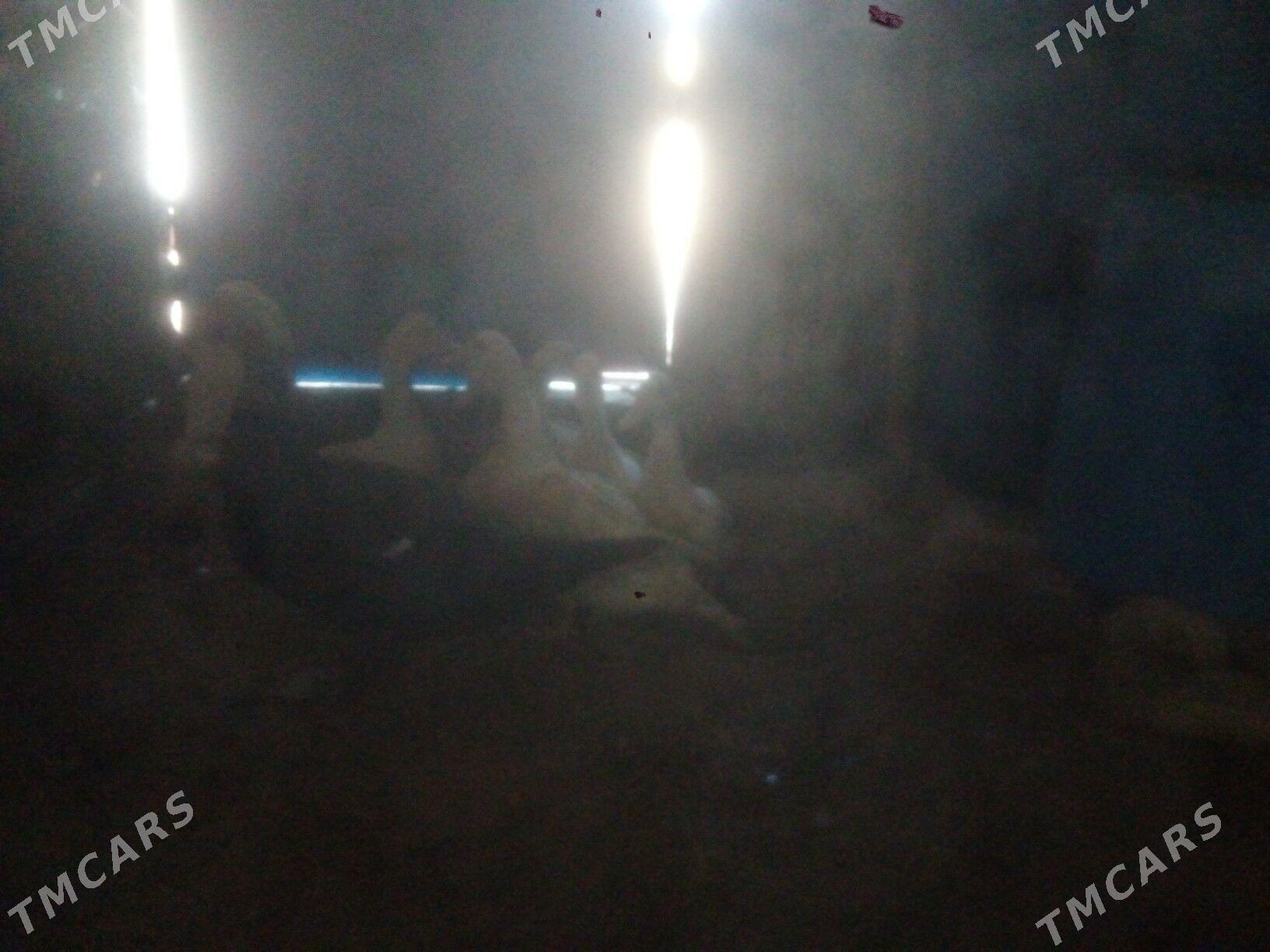 ordek we induk - Balkanabat - img 4