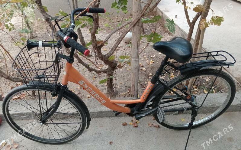 tigir - Анев - img 2