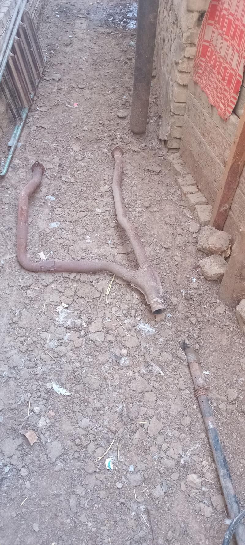 53 Gulsultil 3 000 TMT - Mary - img 2