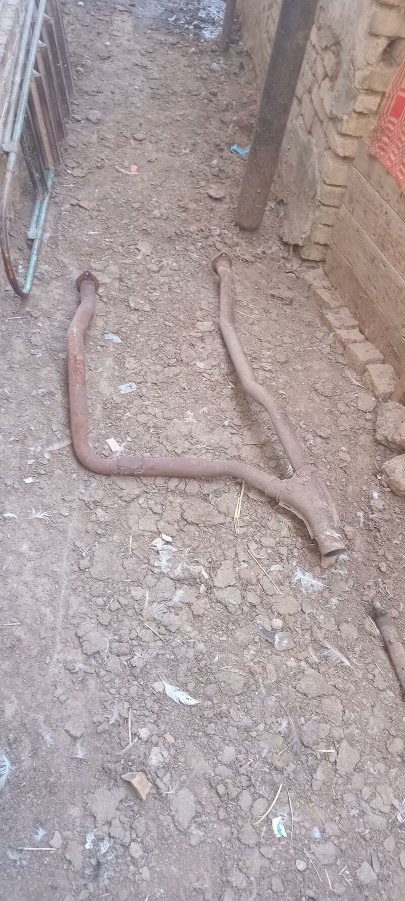 53 Gulsultil 3 000 TMT - Mary - img 3