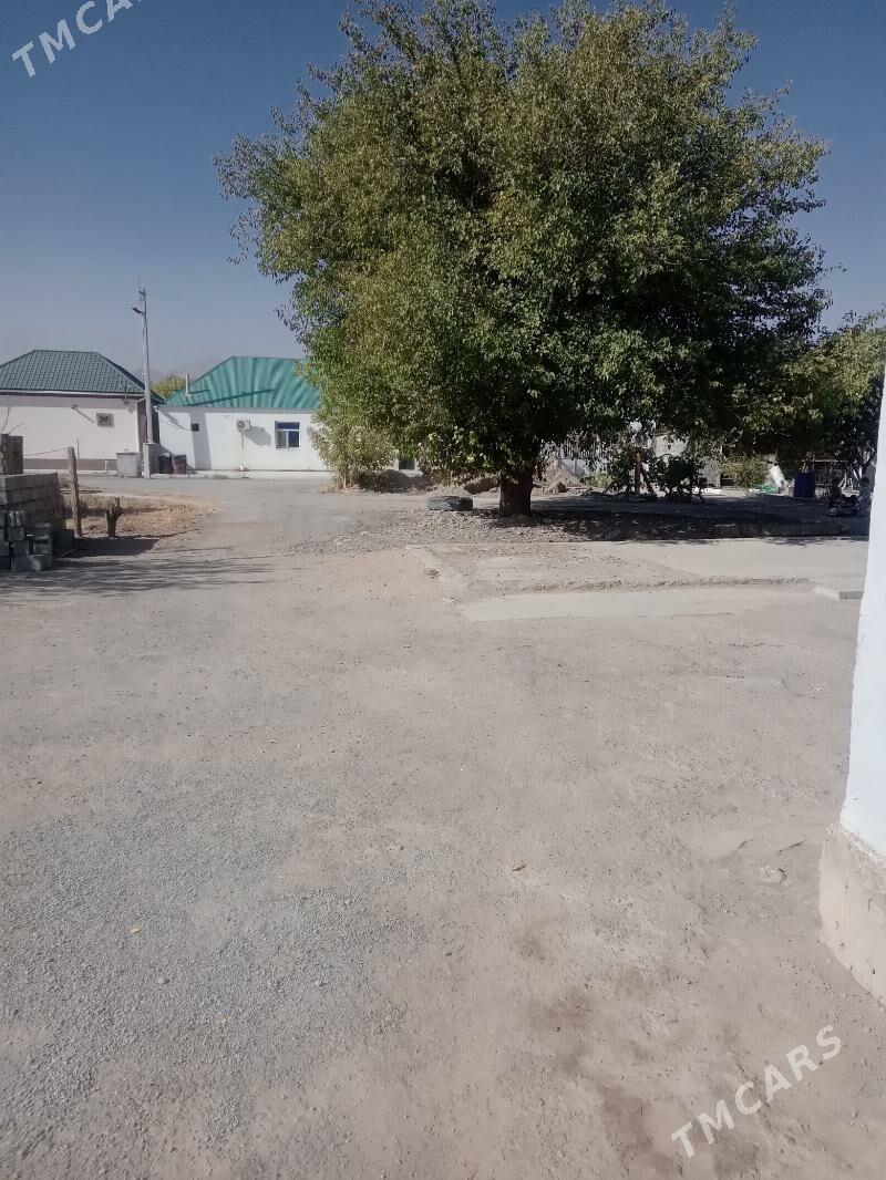 Satlyk ýer 2 otag jaýy - Багир - img 5