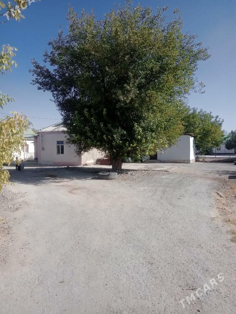 Satlyk ýer 2 otag jaýy - Багир - img 2