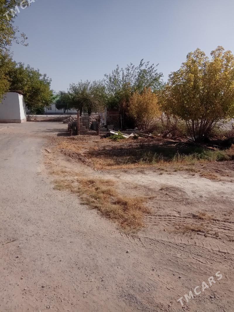 Satlyk ýer 2 otag jaýy - Багир - img 3