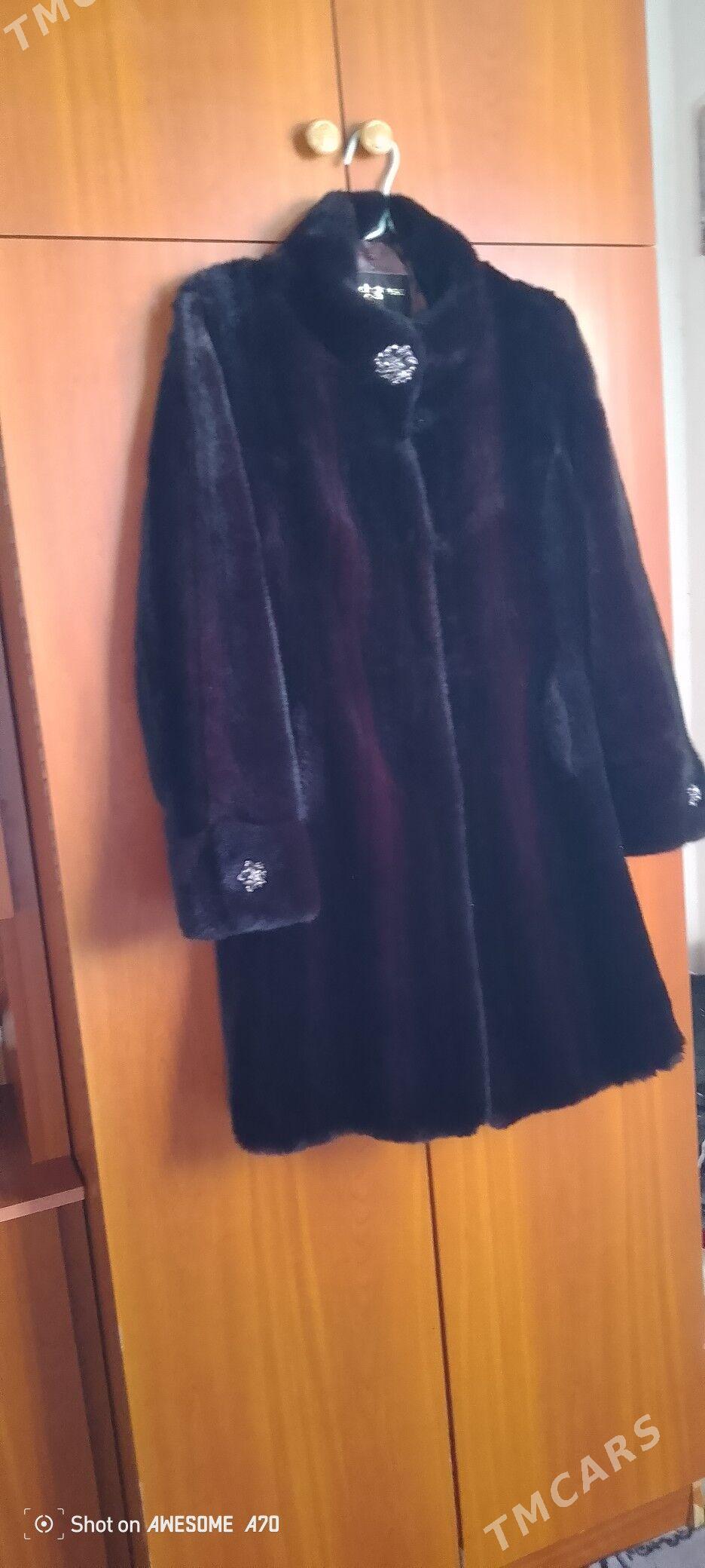 suba - Daşoguz - img 3