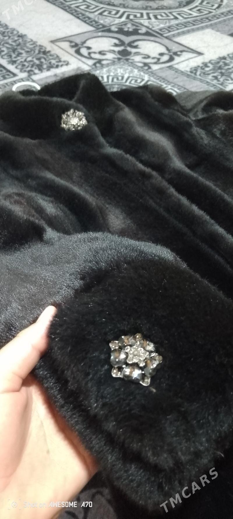 suba - Daşoguz - img 1