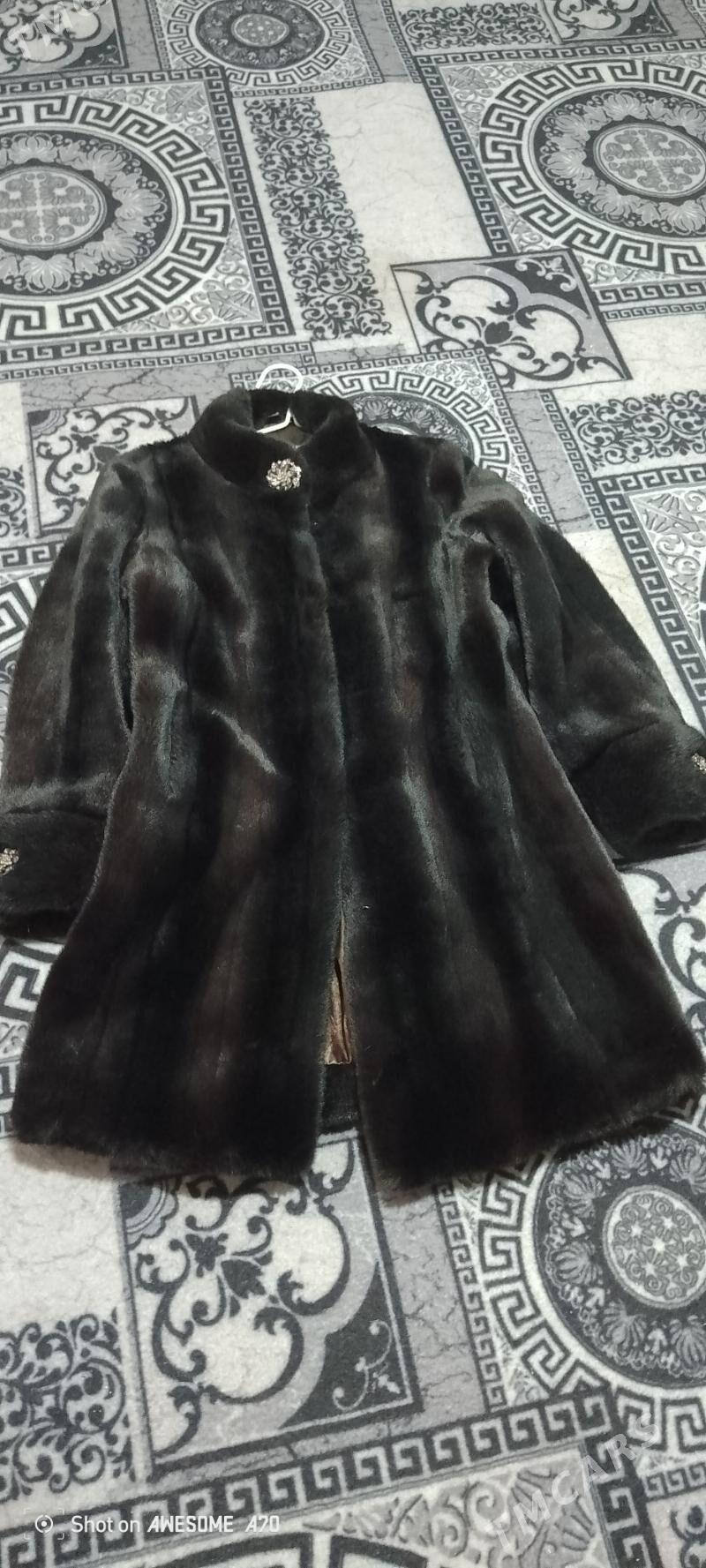 suba - Daşoguz - img 2