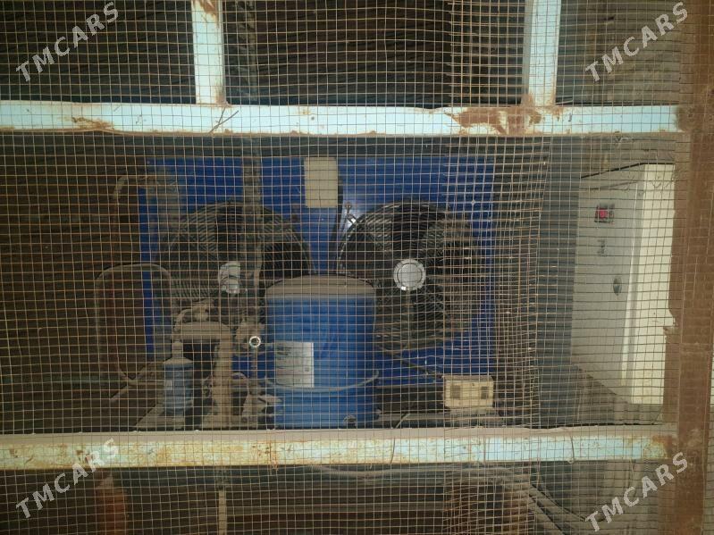 holadilnik taze - Türkmenabat - img 4