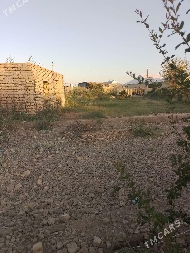 MELEK ÝER ŞÄHERE DEGİŞLİ - Mary - img 2