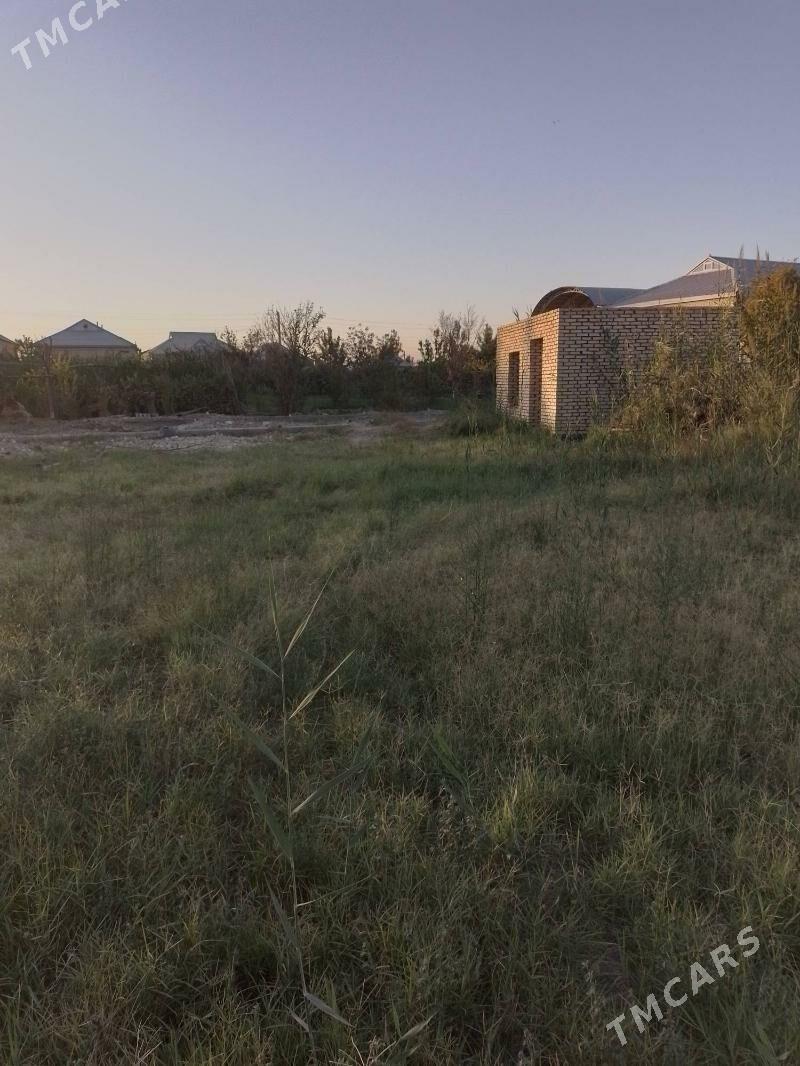 MELEK ÝER ŞÄHERE DEGİŞLİ - Mary - img 1