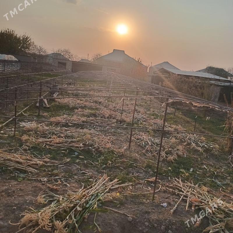 parnyk - Murgap - img 2