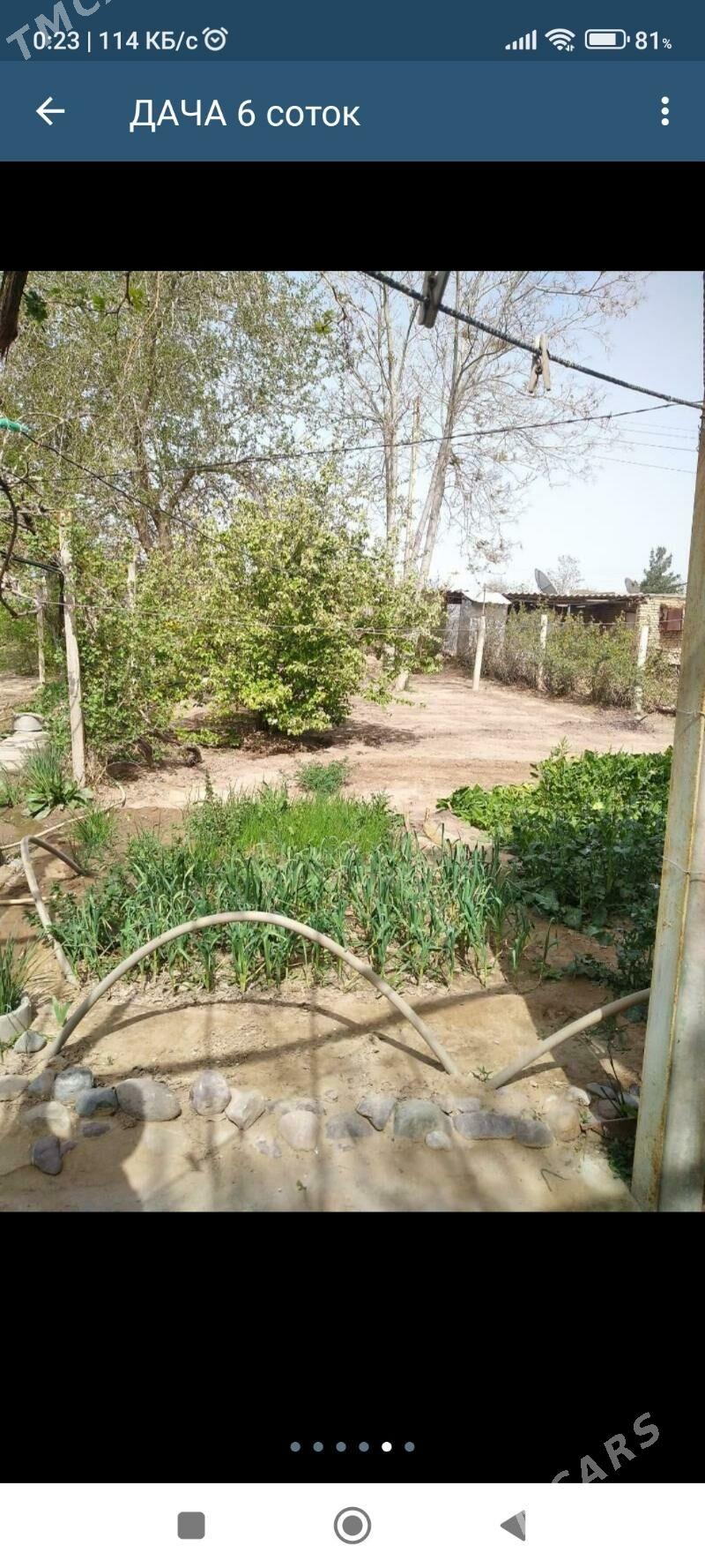 дача - Mary - img 3