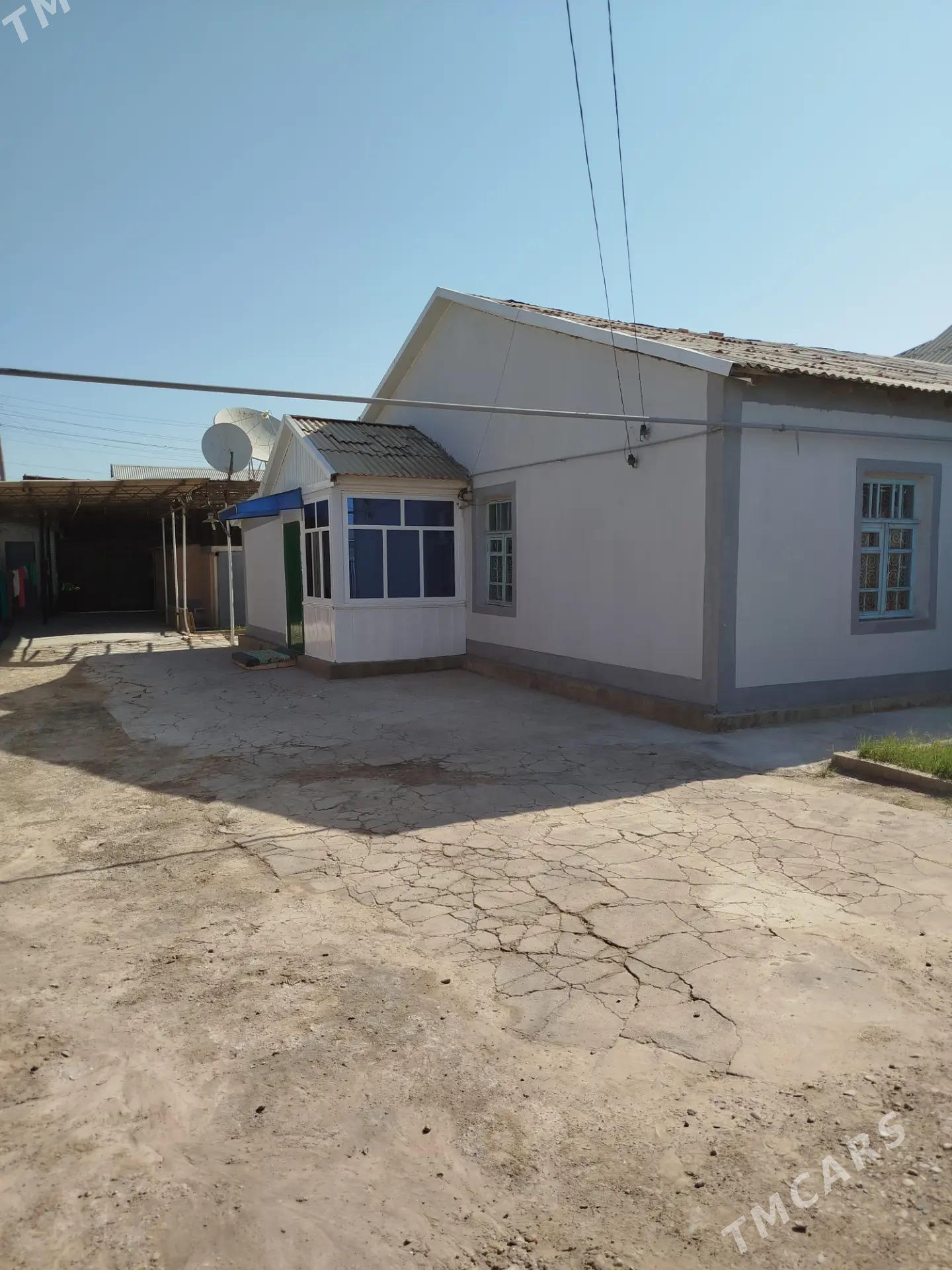 Satlyk Howly Jay - Mary - img 5