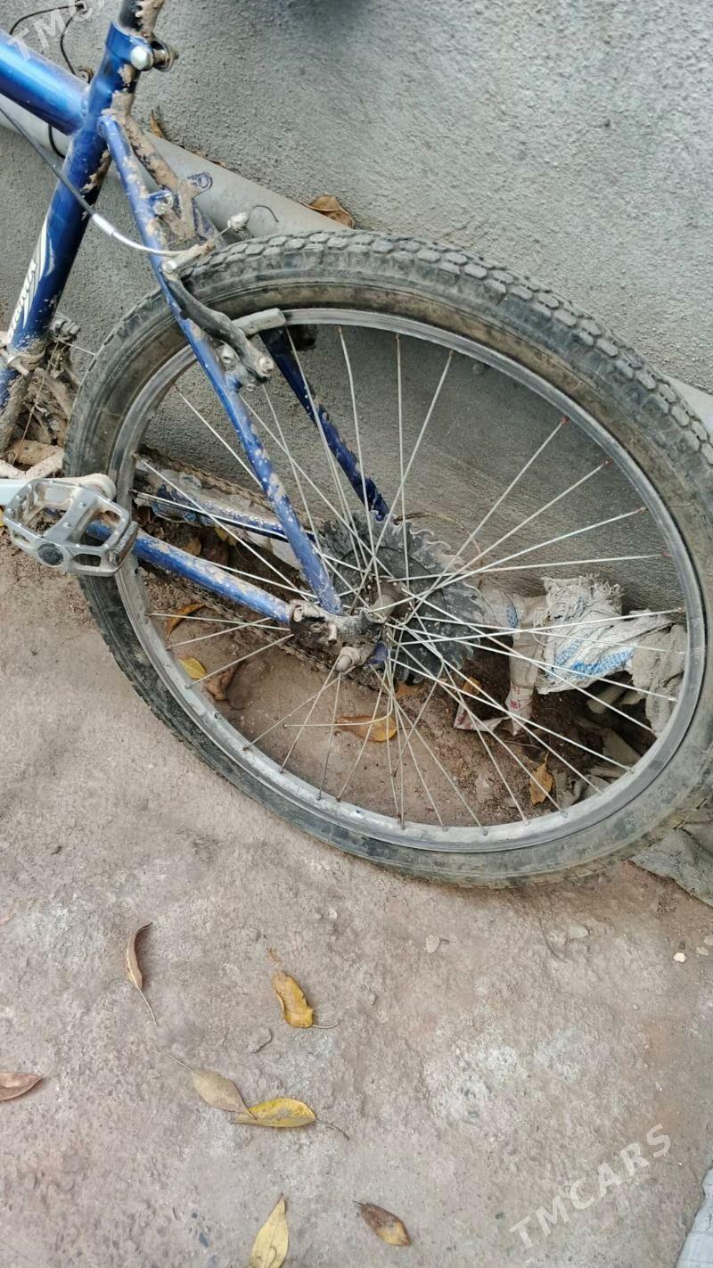 26 lyk - Mary - img 2