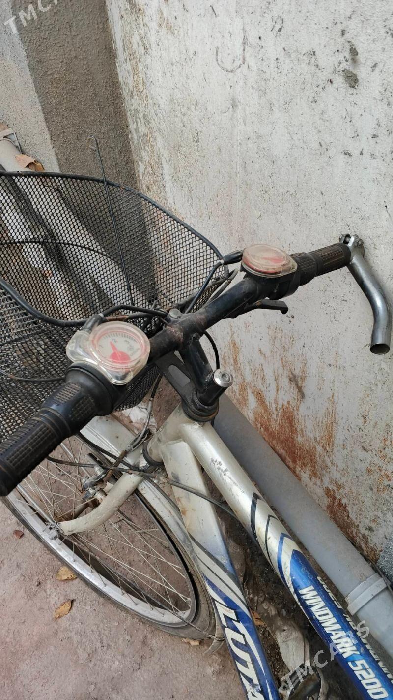 26 lyk - Mary - img 4