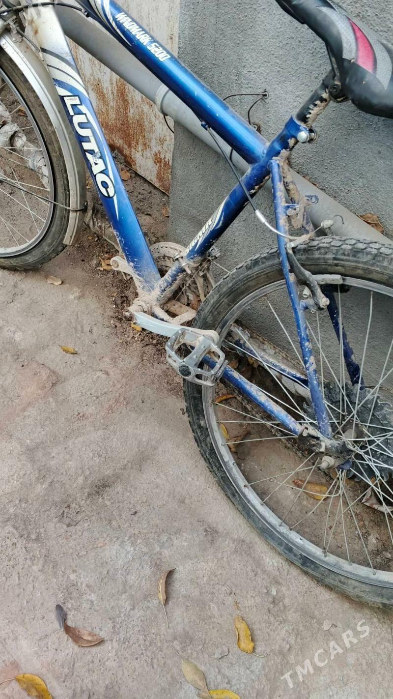 26 lyk - Mary - img 3