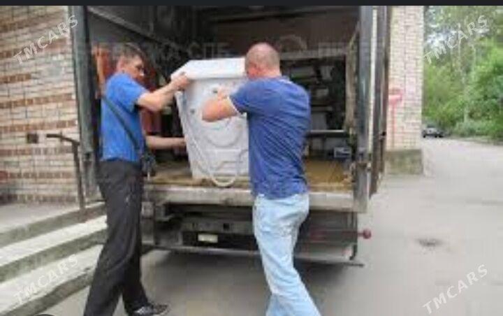 Biz ýük daşaýançy .Мы грузчики - Чоганлы - img 10