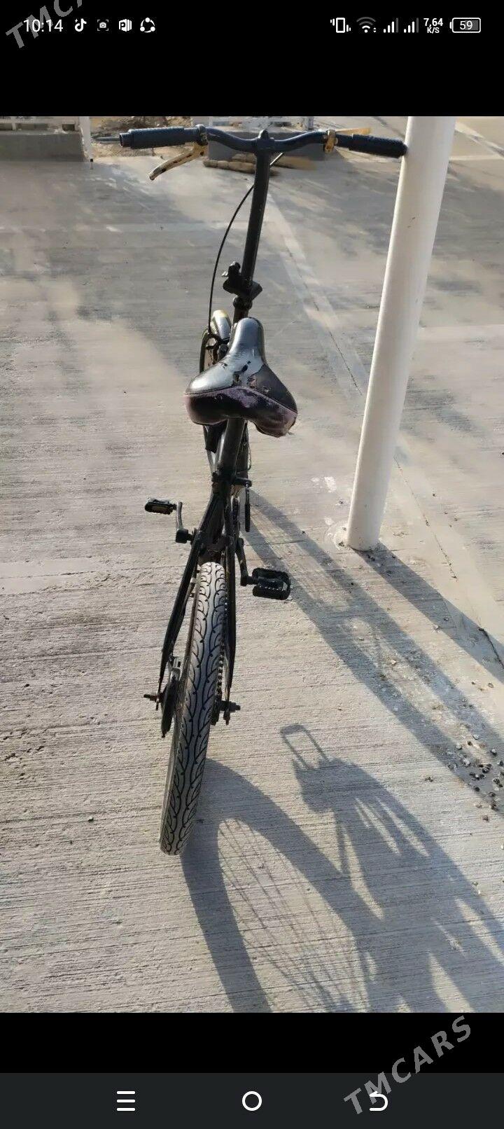 kama tigir - Tejen - img 2