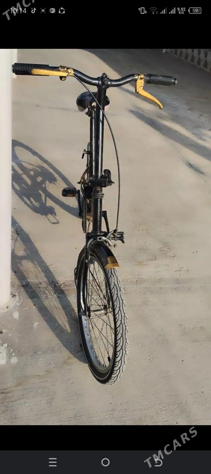 kama tigir - Tejen - img 1