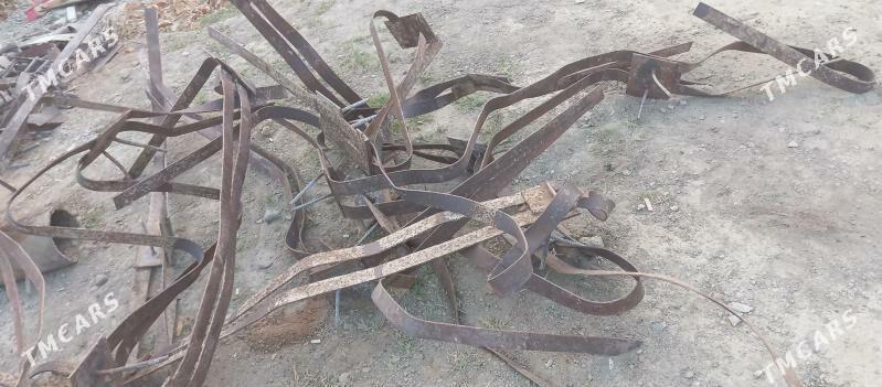 Demir pacak - Gökdepe - img 3