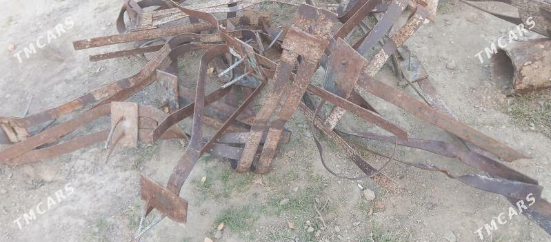 Demir pacak - Gökdepe - img 4