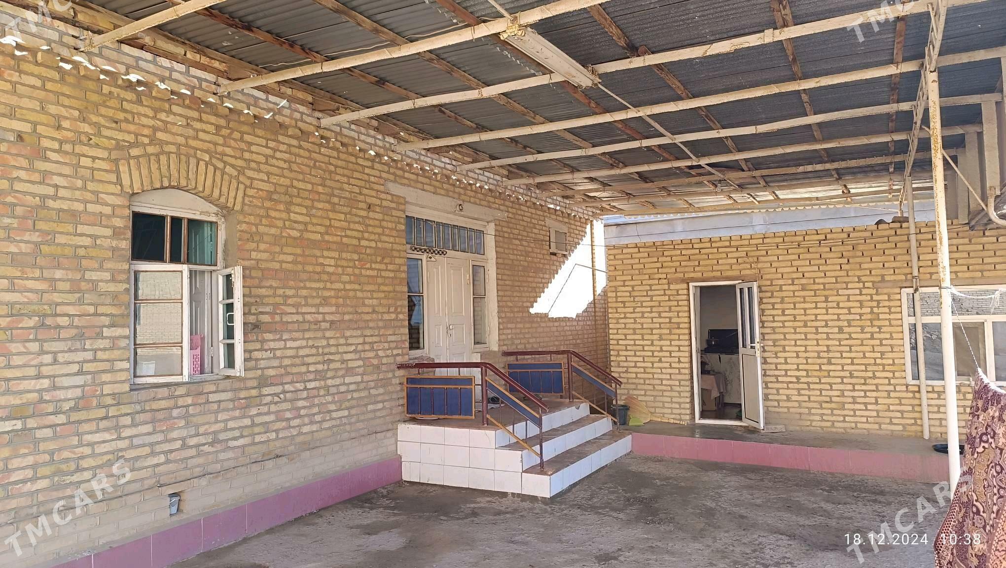 plan jay  mellek12 sotka - Sakarçäge - img 4