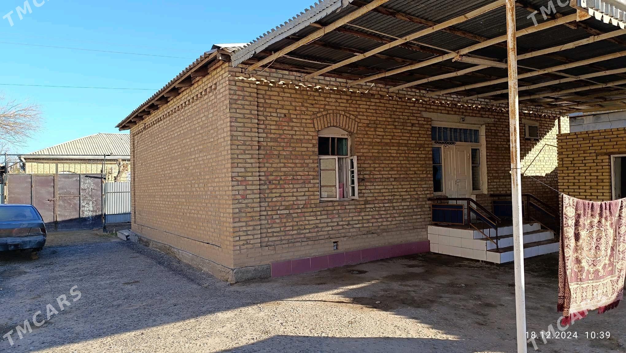 plan jay  mellek12 sotka - Sakarçäge - img 3