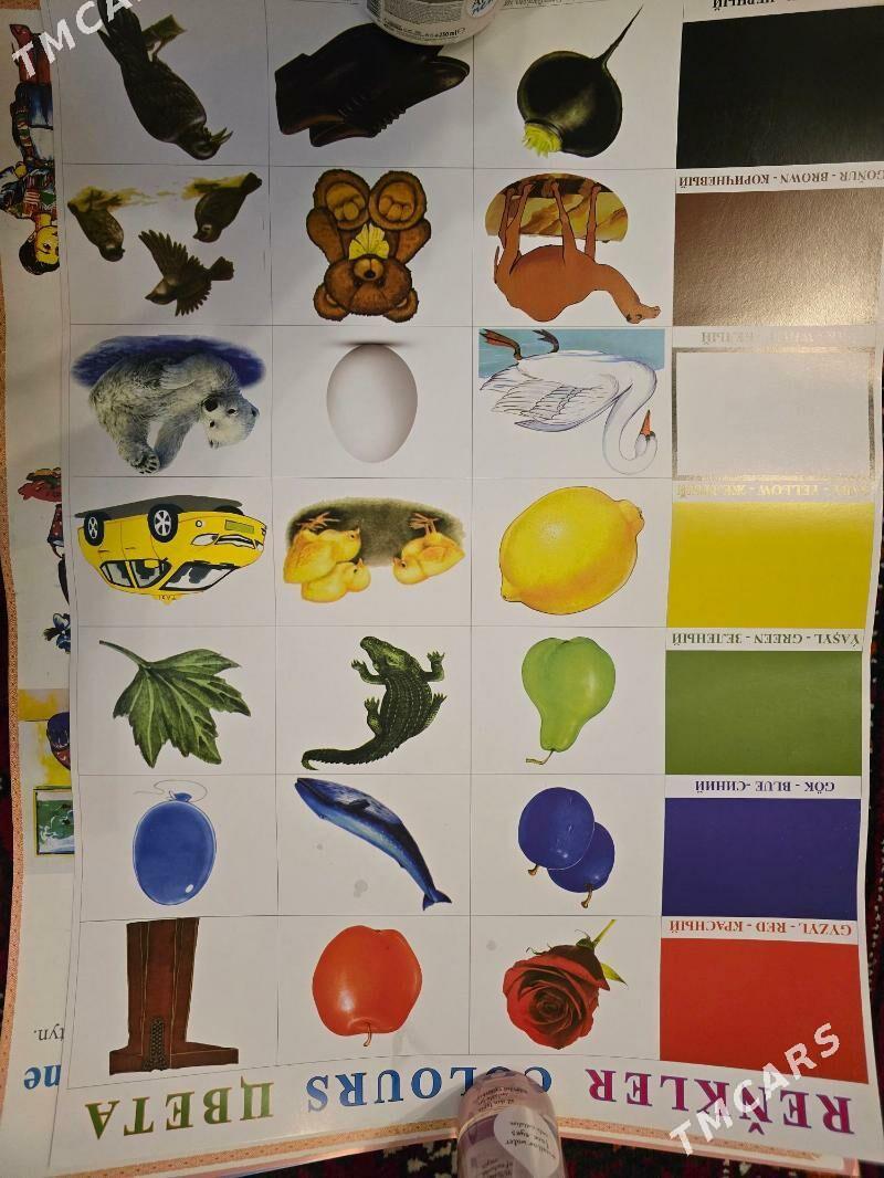 Iňlis dilinden görkezme esbap - Ашхабад - img 5