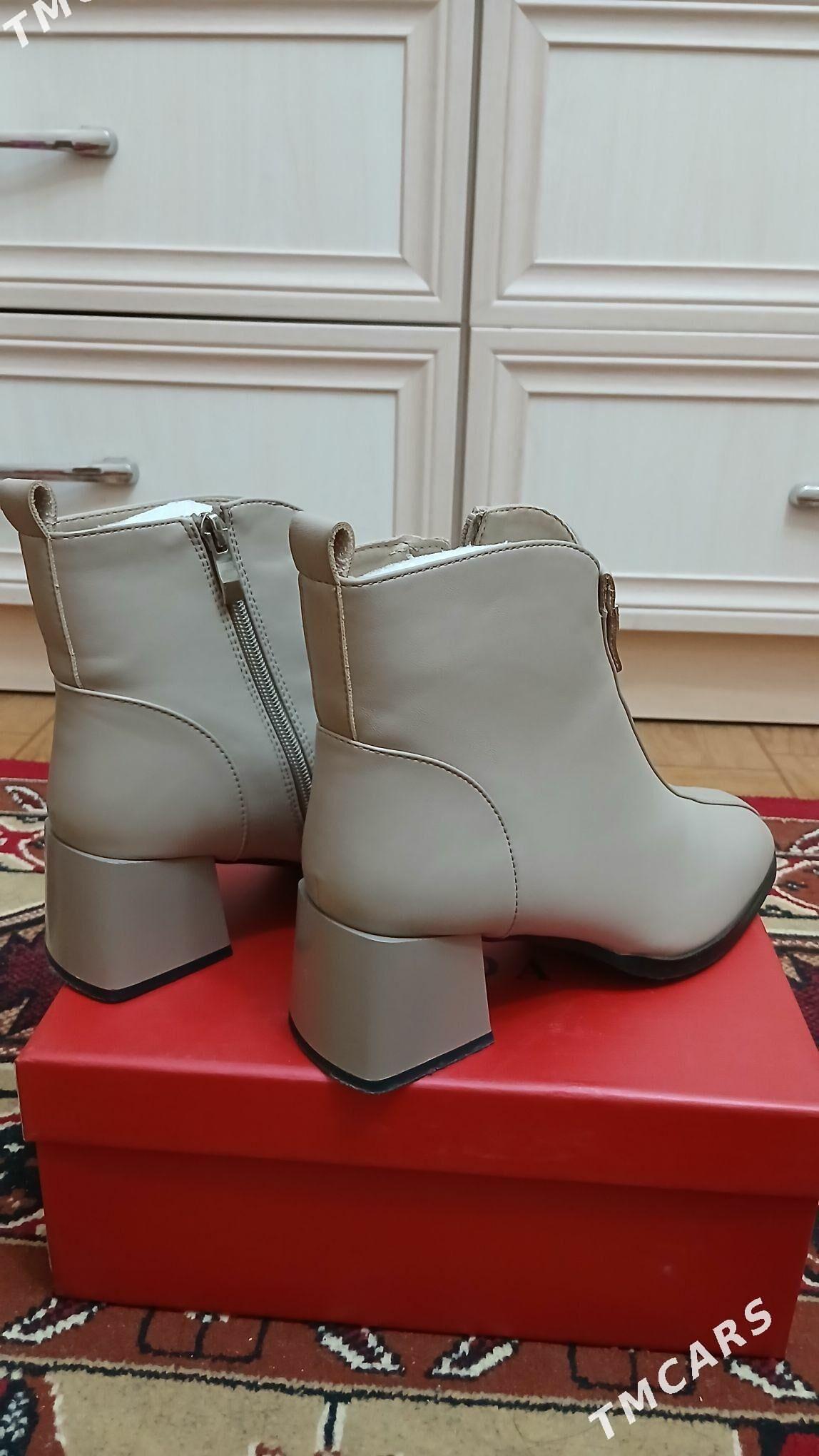 adik - Daşoguz - img 3