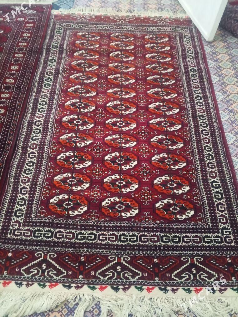 haly - Türkmenbaşy - img 3