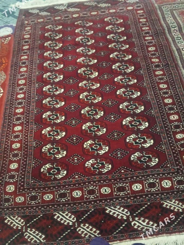 haly - Türkmenbaşy - img 2