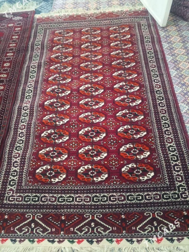 haly - Türkmenbaşy - img 4