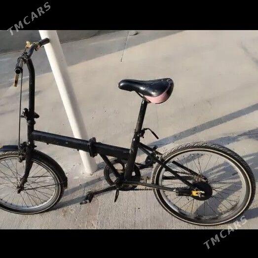 kama tigir - Tejen - img 3