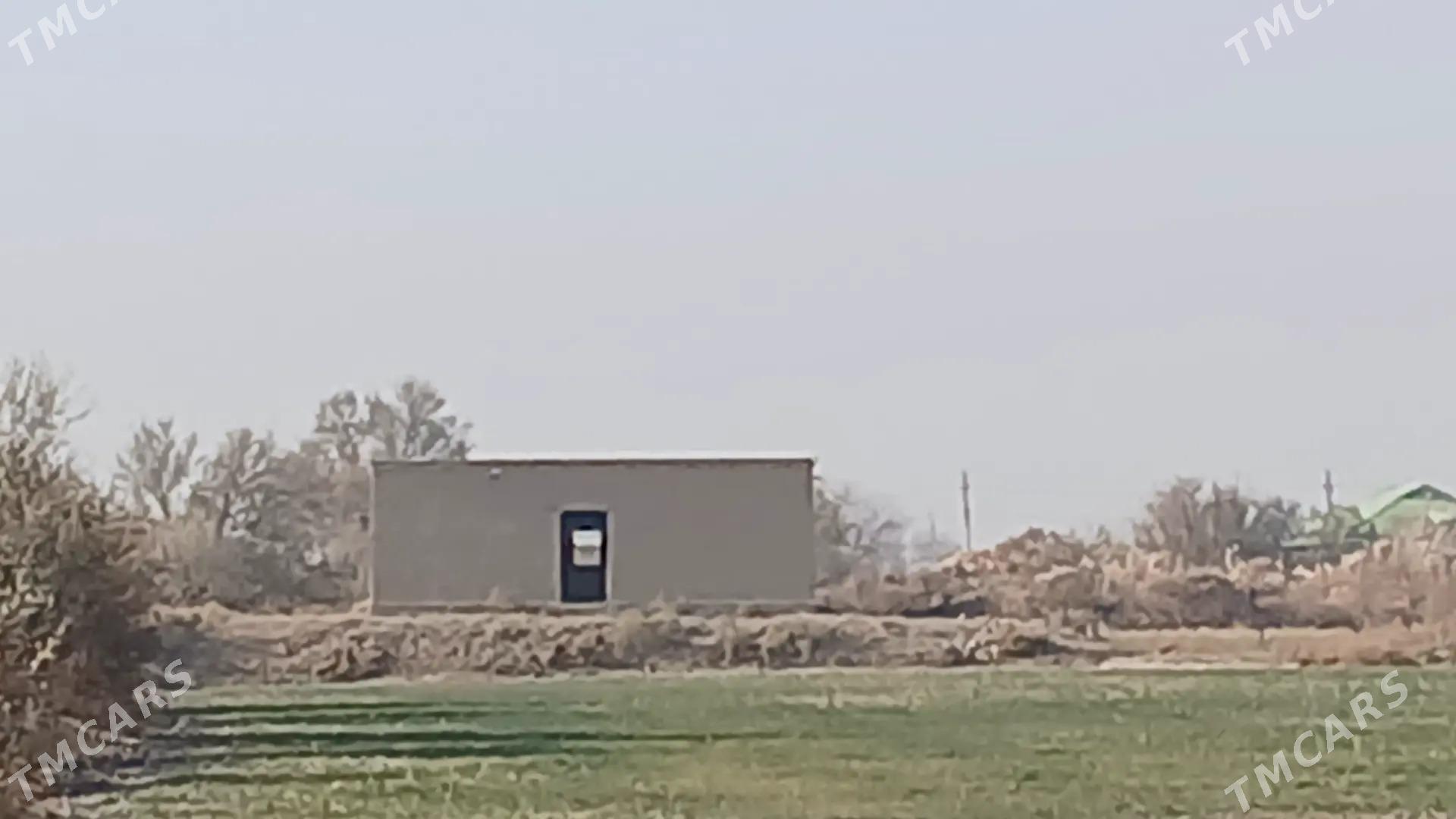 jaÿ - Akdepe - img 4