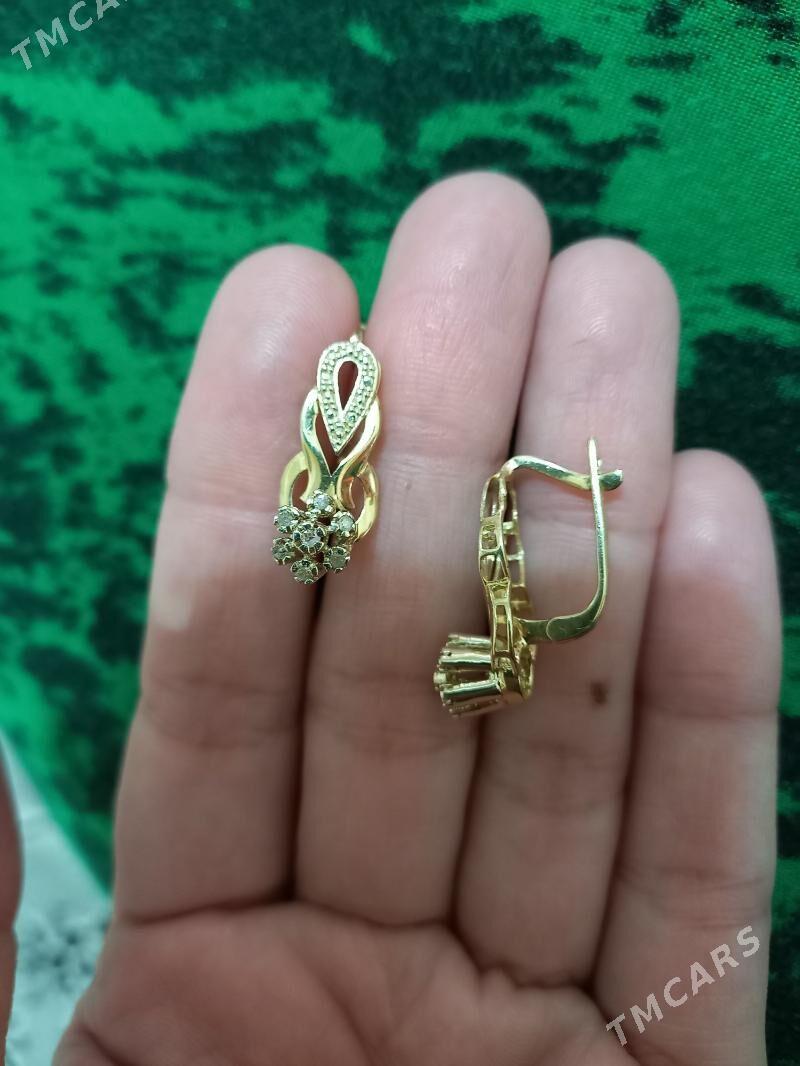 Gyzyl gulaksyrga - Кëши - img 2