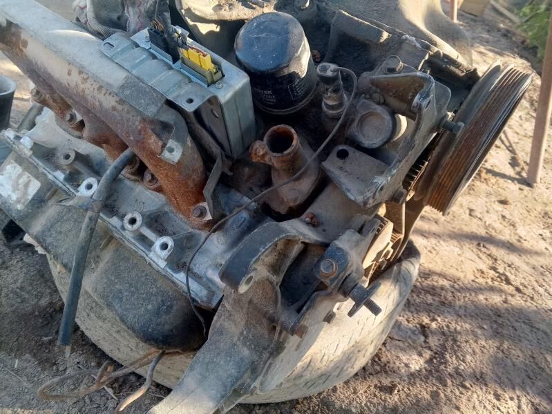 morda 100 TMT - Daşoguz - img 7