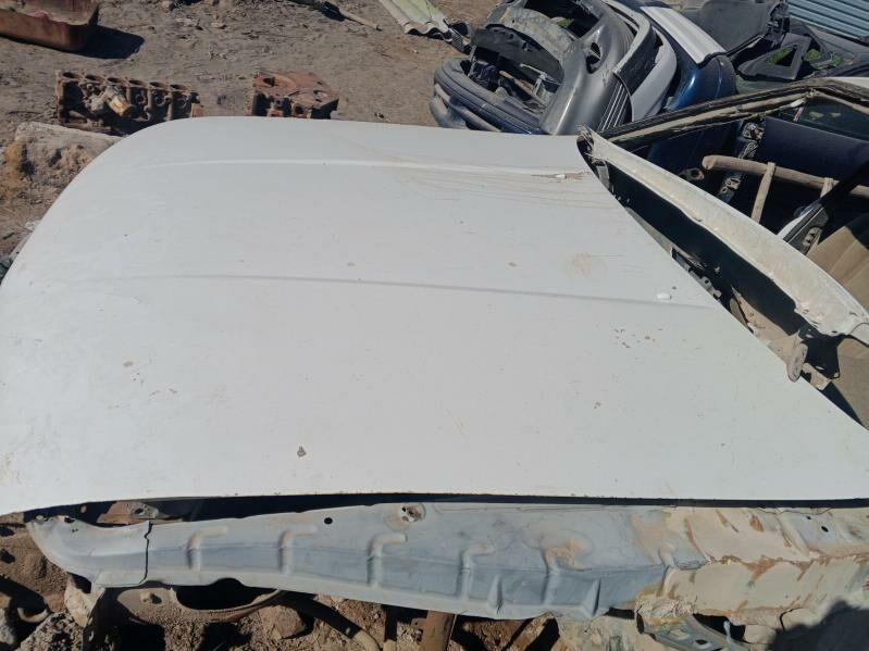 morda 100 TMT - Daşoguz - img 4